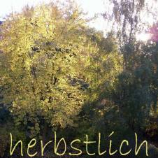 0909-herbstlich-2060